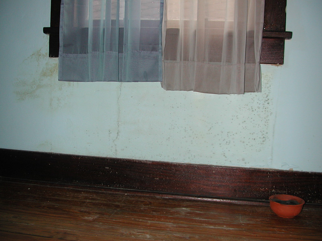 Interior wall of an older home showing black mold spots and water staining near the baseboard