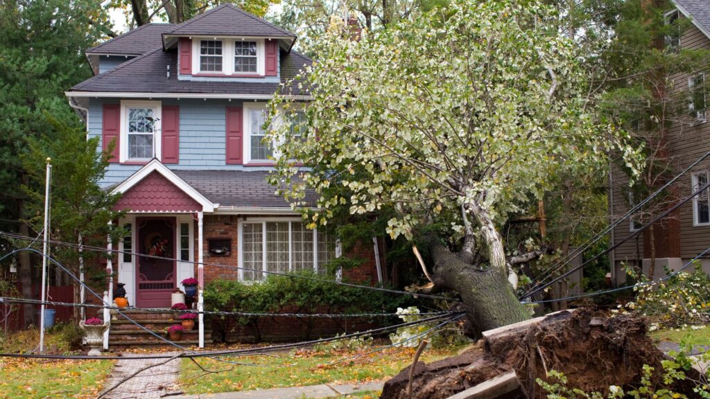 Storm Damage restoration